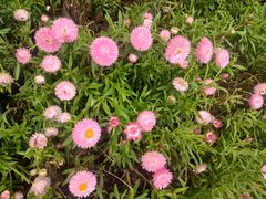 -崇圣寺三塔文化旅游区