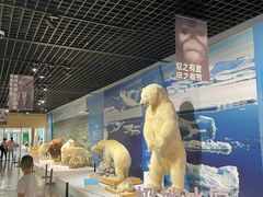 -中国湿地博物馆