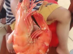 -钟叔烩鸡