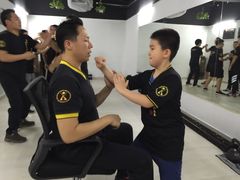 -温鉴良实用咏春拳