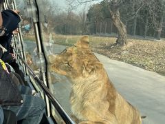 -西安秦岭野生动物园