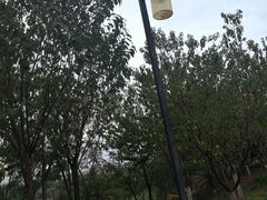 -北镇庙