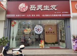 -岳灵生发养发馆