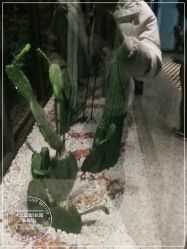 点击看大图 -木北造型