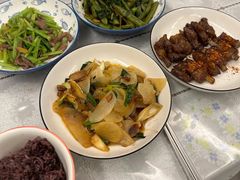 -悦芽照护月嫂+育儿嫂(杭州店)