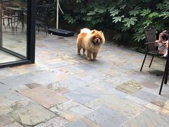 -看见远方·莫干遥远的山民宿