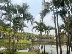 -映月湖公园
