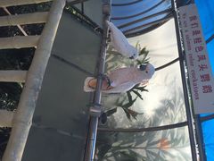 iphone_upload_pic-百鸟园