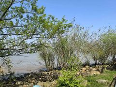 -上海吴淞炮台湾国家湿地公园