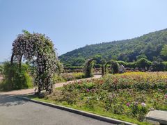 -龙寺生态园