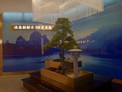 -马家斑.鲜鱼火锅(松湖万科店)