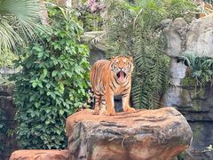 -海南热带野生动植物园