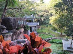 -深圳国际园林花卉博览园