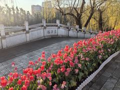 -翠湖宾馆·中餐厅