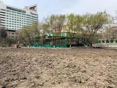 -莲湖公园