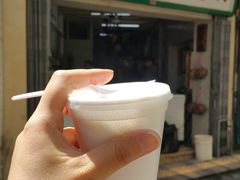 -洪馨椰子