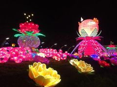 景点-映月湖公园