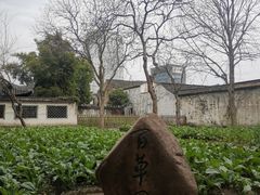 -绍兴鲁迅故里·沈园景区