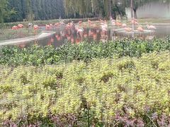 -辛玛王国游乐园