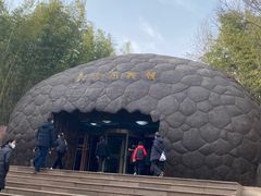 -中国西峡恐龙遗迹园
