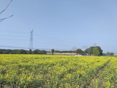 -嘉北郊野公园