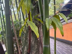 -洪霞餐馆