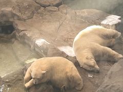 -西安曲江海洋极地公园