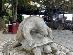 -海南分界洲岛旅游区