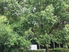 -宝界山林公园