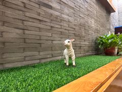 -鸥迪足道(全球连锁 新世界示范店)