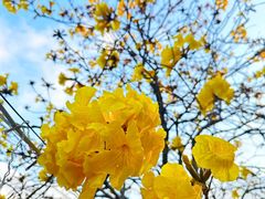 -飞翔公园(地铁站)