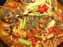 -老板恋上鱼(高新万达店)