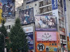 -秋叶原电器街