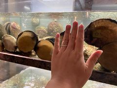 -甄御•海鲜新青岛菜(麦岛店)