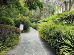 -腾冲洞山温泉村