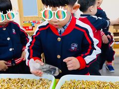 -玛利娅蒙特梭利双语幼儿园·托育(百家湖直营园)