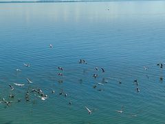 -昆明冠生园·蛋糕·面包(南强街店)