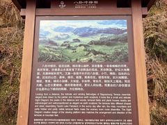 -紫鹊界梯田景区