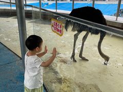 -芜湖新华联大白鲸海洋公园