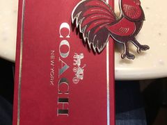 -COACH蔻驰(百联奥特莱斯广场店)