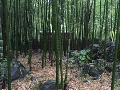 -陶祖圣境风景区