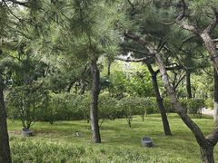 -燕儿岛山公园