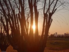 -汉长安城未央宫国家考古遗址公园