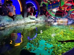 -无锡海洋馆