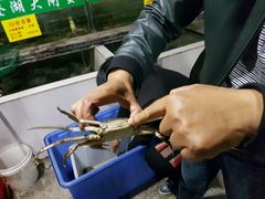 -喜洋洋蟹庄(阳澄湖店)