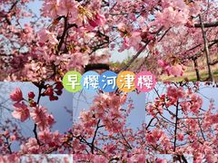 -上海辰山植物园