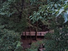 -国家植物园