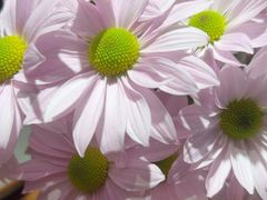 -半秋山西餐厅(销品茂店)