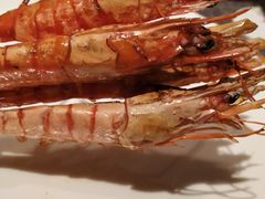 -佛山希尔顿酒店·融誉亚洲美食荟