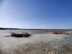 -丁香湖公园